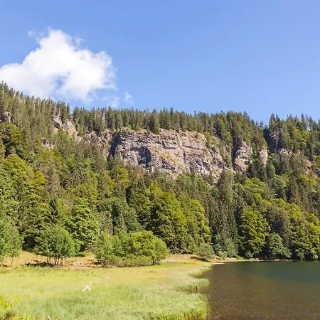 Kurhotel Schluchsee App 3305 - Schwarzwaldruhe, Mit Schwimmbad Schluchsee Schluchsee