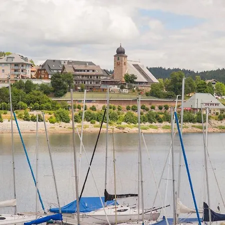 Appartement Kurhotel Schluchsee App 3305 - Schwarzwaldruhe, Mit Schwimmbad Schluchsee *