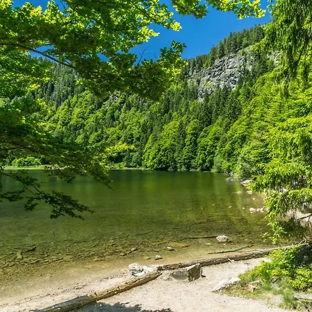 Appartement Kurhotel Schluchsee App 3305 - Schwarzwaldruhe, Mit Schwimmbad Schluchsee *